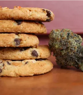 A stack of cookies beside dried cannabis flower
